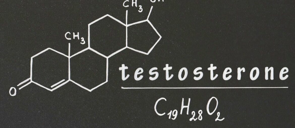 Testosterone Boosting Foods