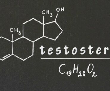 Testosterone Boosting Foods