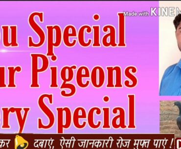 Best multivitamin for pigeons. How to supplement your pet pigeons with calcium. Best calcium tonic