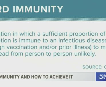 What is 'herd immunity' and how can it be achieved? Medical expert explains