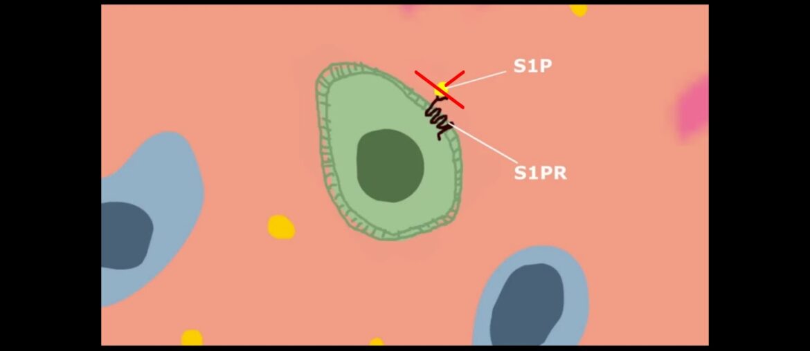 Understanding coronavirus and how science is fighting against it