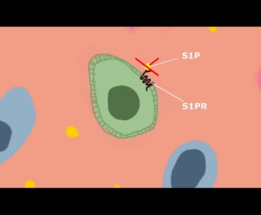 Understanding coronavirus and how science is fighting against it