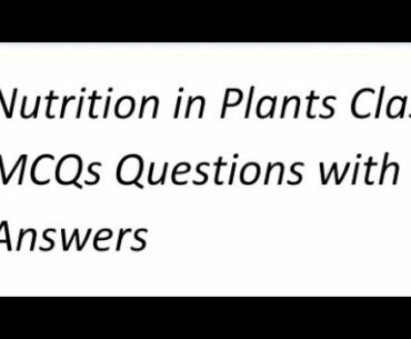 Nutrition in Plants Class 7 MCQs Questions with Answers