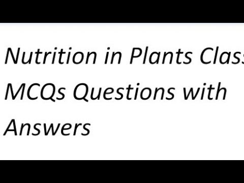 Nutrition in Plants Class 7 MCQs Questions with Answers