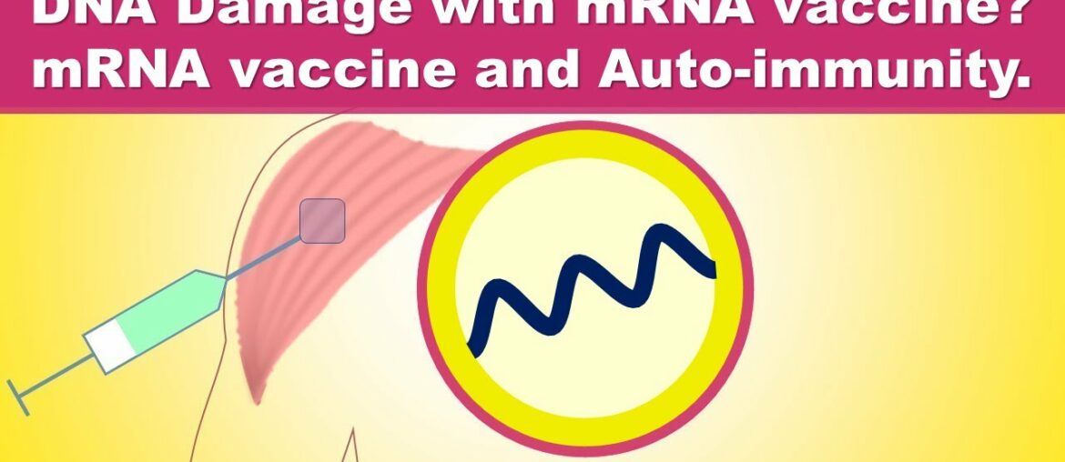 Can mRNA vaccines alter the DNA? mRNA Vaccine and auto-immunity? Moderna/Pfizer's COVID-19 vaccine