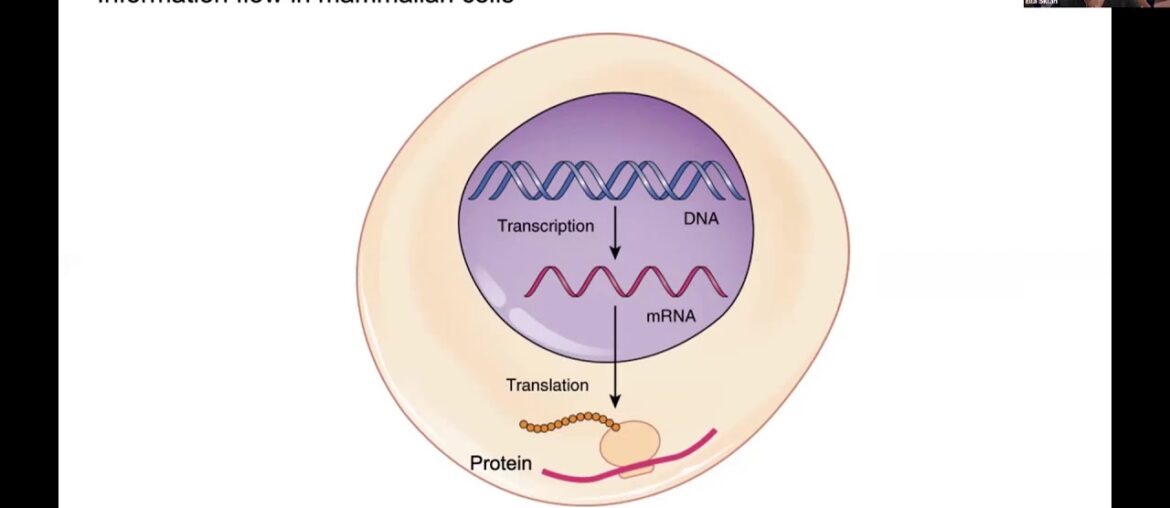 Coronavirus Vaccines vs. Mutations: Who Will Win the Race?