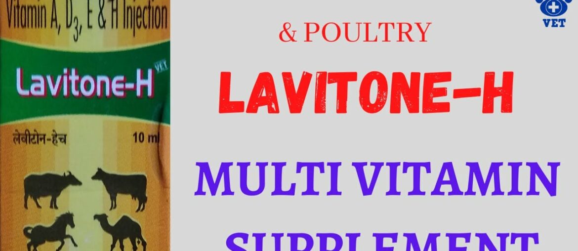 Multi Vitamin Supplement- LAVITONE-H