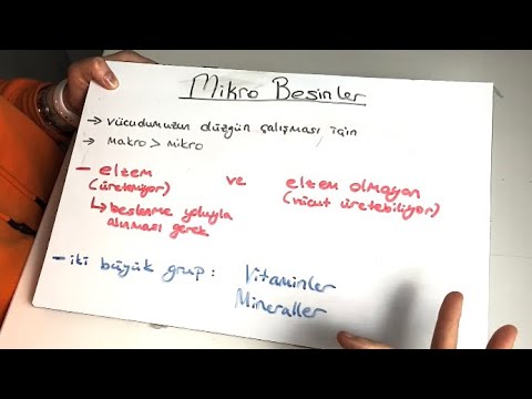 Mikro Besin Nedir? | Fitness & Bodybuilding | Cansu 06