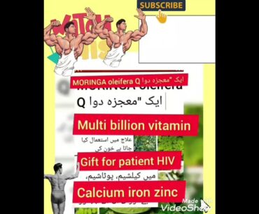 MORINGA oleifera Q  Miracle formula God gifts For HIV aids   patients vitamin iron all nutrition