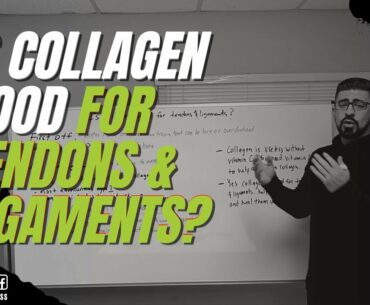Is Collagen Good For Tendons & Ligaments? - POWERHOUSE FITNESS TRAINING