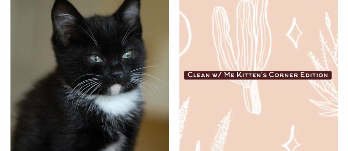 2021 Clean w/ Me! Kitten Room (corner) Edition