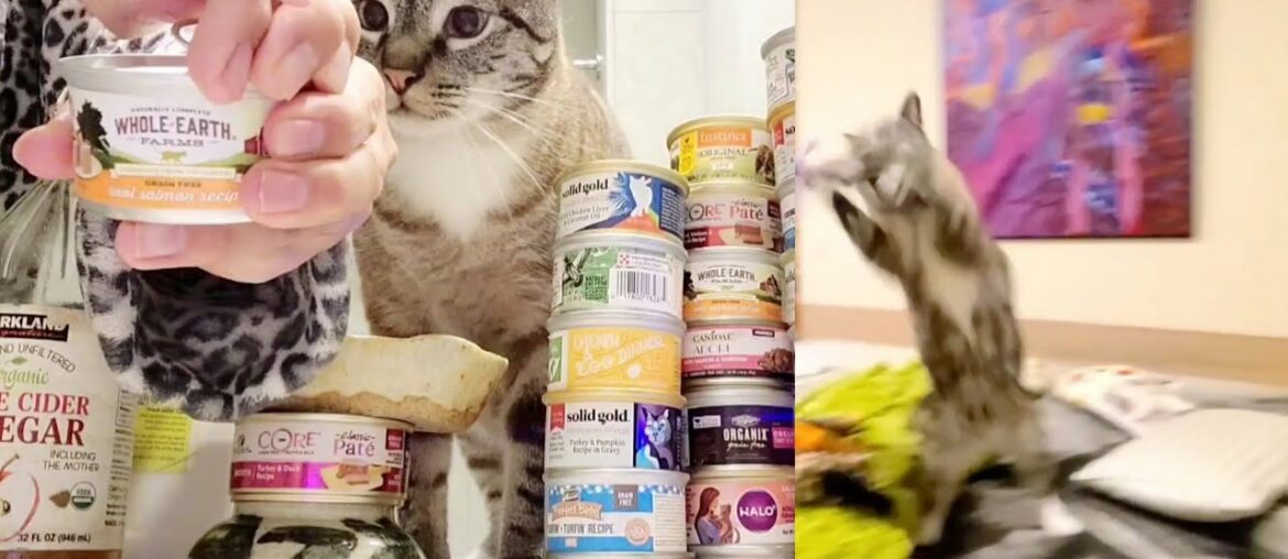 Whole Earth Farms Merrick Pet Foods Real Salmon Recipe Grain Free Canned Cat Food
