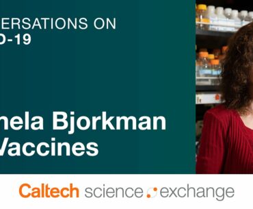 Caltech Science Exchange Presents Conversations on COVID 19: Vaccines in the News