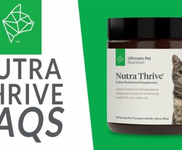 Nutra Thrive for Cats FAQs | Ultimate Pet Nutrition