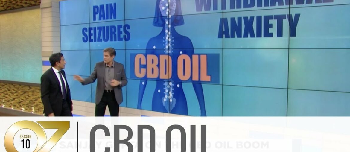 How CBD Oil Impacts the Body