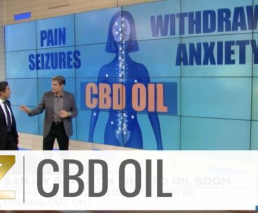 How CBD Oil Impacts the Body