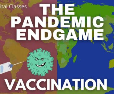 COVID-19 Pandemic Endgame: Vaccination