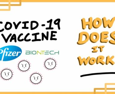 How does the COVID-19 VACCINE work? - MADE EASY.