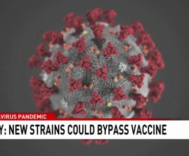 Study: New COVID-19 strains could bypass vaccine, but would be less severe - NBC 15 WPMI