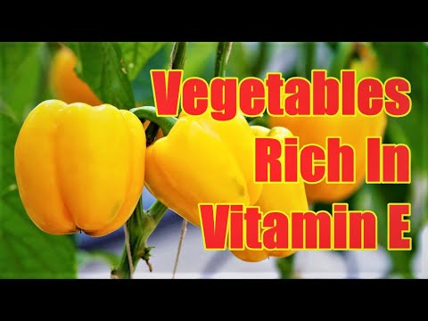 Top 10 Vegetables Rich In Vitamin E