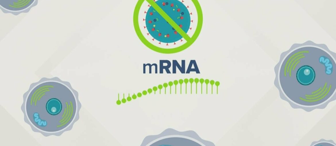 Understanding mRNA COVID-19 vaccines