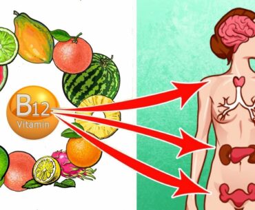 Foods That Are Rich in Vitamin B 12 for Any Diet