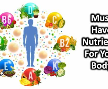4 Essential Nutrients and Why Your Body Needs Them