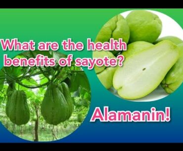 What are the Health Benefits of Sayote|| Alamin