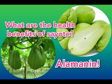 What are the Health Benefits of Sayote|| Alamin