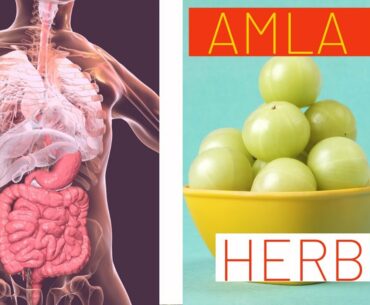 10 Ways How To Boost Your Immune System Herb Amla Supplements