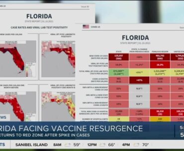 Biden outlines coronavirus rescue plan