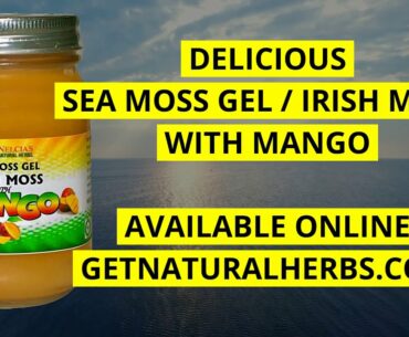 The most delicious Sea Moss Gel / Irish Moss with Mango! AMAZING AND DELICIOUS