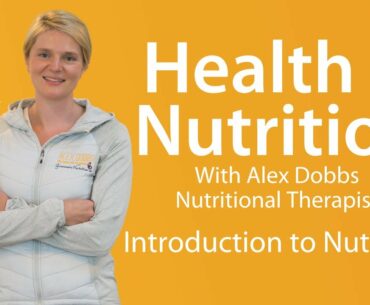 Gym Plus Health & Nutrition Series: Introduction to Nutrition with Alex Dobbs