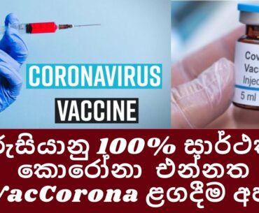 EpiVacCorona is a coronavirus vaccine developed by the Vektor State Research Center  in Russia
