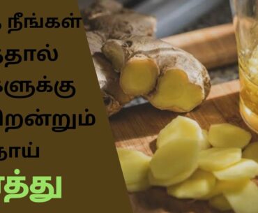 FOODS TO BOOST YOUR IMMUNITY - HOW TO BOOST IMMUNITY NATURAL | MADAN FITNESS | TAMIL