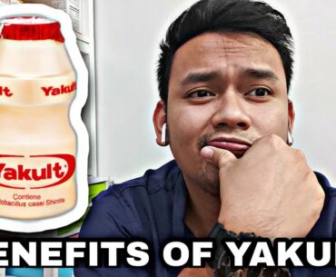 BENEFITS OF YAKULT IN DOGS AND CATS