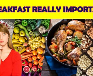 How to Plan Your Breakfast | Six Simple Ways to Plan your Breakfast | Illnoize Club | Fitness Tips