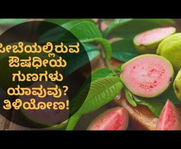 BENEFITS OF GUAVA | VITAMIN C | NATUROPATHY | DR VENKATRAMANA HEGDE | VEDA WELLNESS