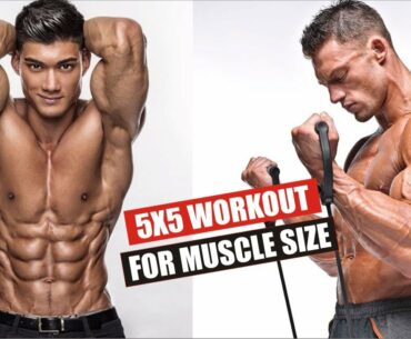 Beginner 5x5 Workout for Muscle Size