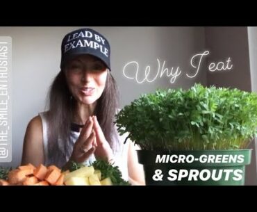WHY I EAT SPROUTS & MICROGREENS| ELEVATED BIOTICS |VITAMIN B12| MEDICAL MEDIUM |THE SMILE ENTHUSIAST