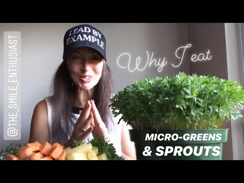 WHY I EAT SPROUTS & MICROGREENS| ELEVATED BIOTICS |VITAMIN B12| MEDICAL MEDIUM |THE SMILE ENTHUSIAST