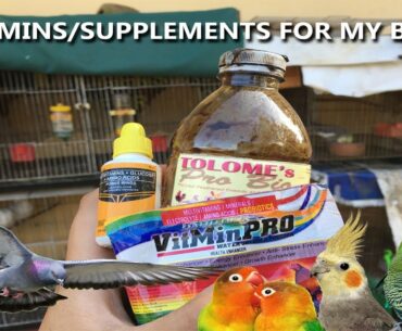 Vitamins/Supplements for my birds