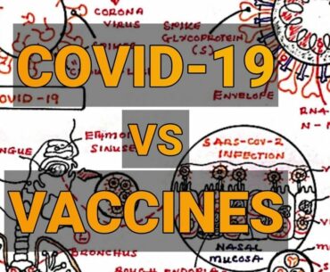 COVID-19 illustration : What Happens when you Get Infected with Corona Virus | New Strains | Vaccine