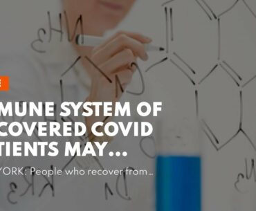 Immune system of recovered Covid patients may evolve to fight it