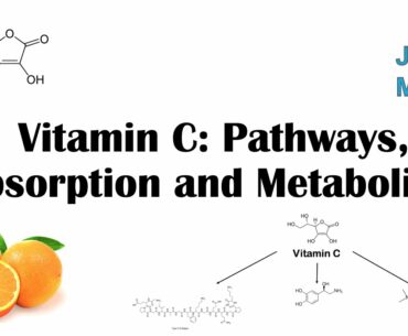 Vitamin C: Why we need it, dietary sources, and how we absorb and metabolize it