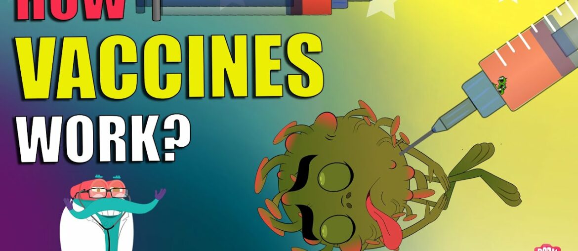 How Vaccines Work? | VACCINATION | Importance Of Vaccine | The Dr Binocs Show | Peekaboo Kidz