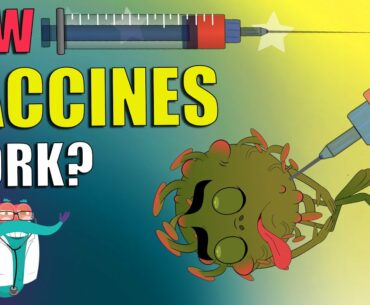 How Vaccines Work? | VACCINATION | Importance Of Vaccine | The Dr Binocs Show | Peekaboo Kidz