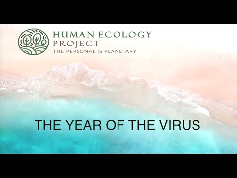 The Year Of The Virus