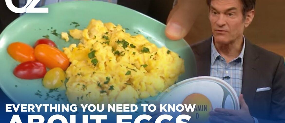 Everything You Need To Know About Eggs