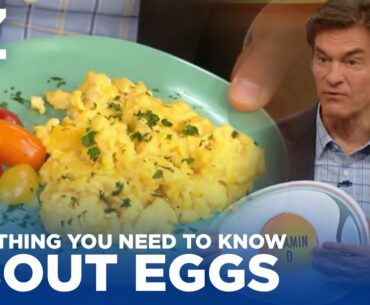 Everything You Need To Know About Eggs